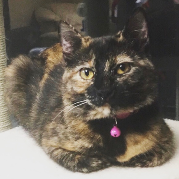 Hi, I'm Miranda! 🤗💞 - Picture 13 of 16